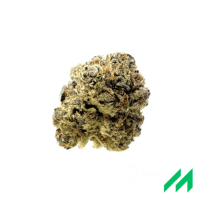 MGF Blue Monkey 26/1
