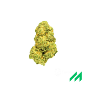 Pedanios 22/1 Ghost Train Haze