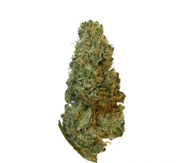 420 Evolution 27/1 CA GMO Cookies