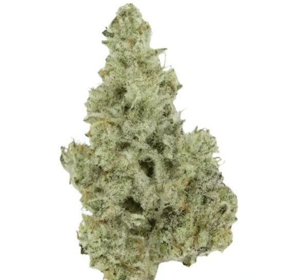 420 Evolution 27/1 MMI