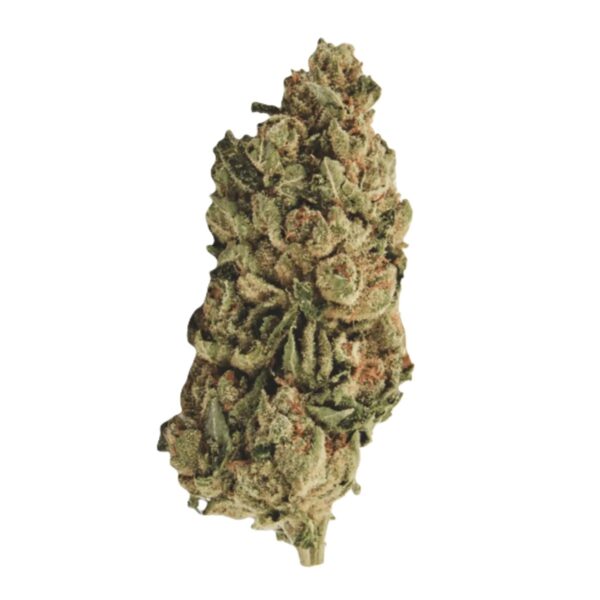 420 Sungrown 27/1 CA LLY