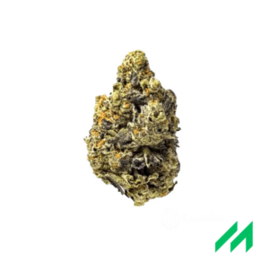 Sinceritas Sativa Verum 24/1 Kush Mints
