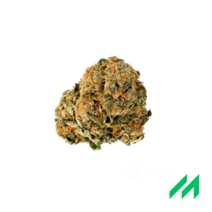 Cannamedical Hybrid Forte NM Gorilla Zkittlez
