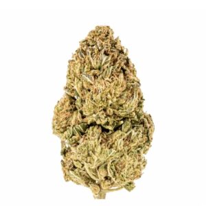 BLKMKT CM THC24 BLK MLK