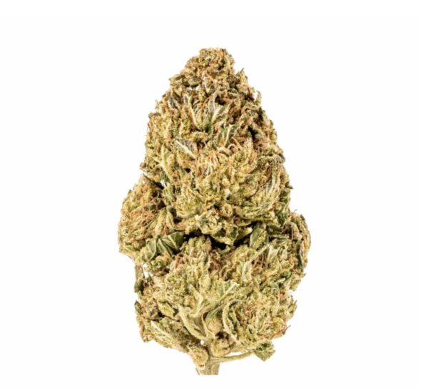 BLKMKT CM THC24 BLK MLK