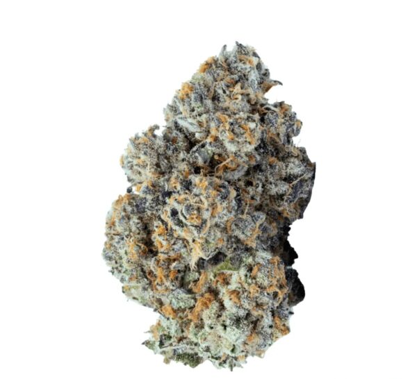 BLKMKT LAW THC25