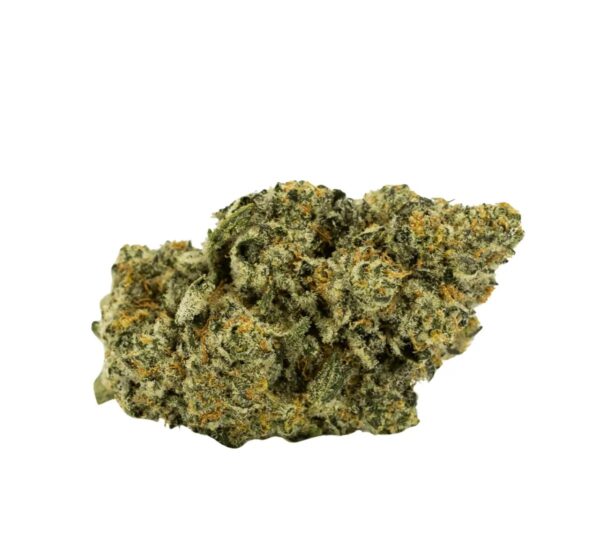 Barongo 26/1 Kali