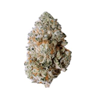Blackbird Hybrid Intense