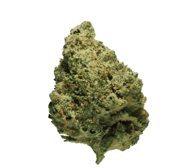 Cannamedical CM 20/1 CRM