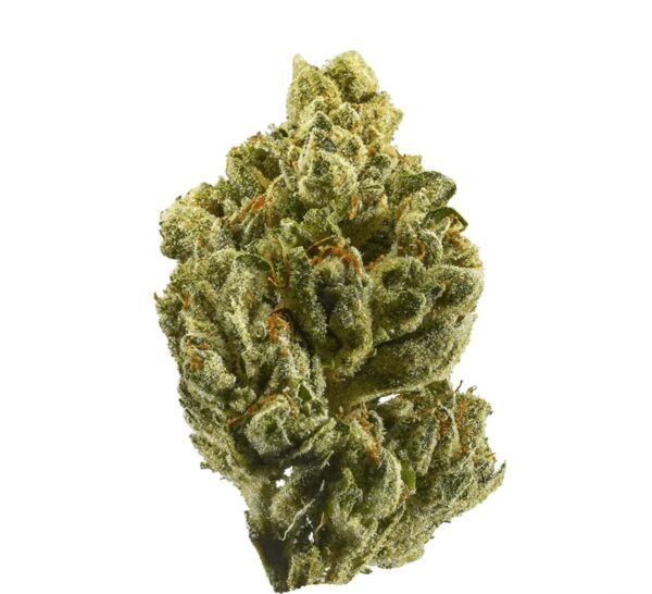 Cannamedical CM 24/1 OG Kush