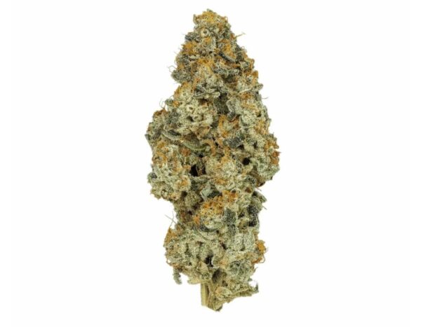 Cannamedical CM 28/1 PO