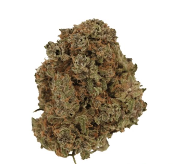 Cannamedical Indica Forte DK 22/1 Gelat Skyfloater