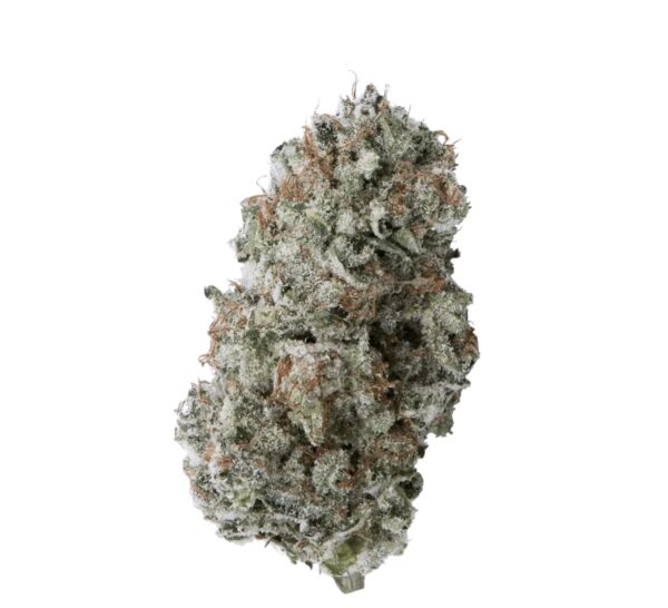 IMC AGD THC25 Afghani Drifter