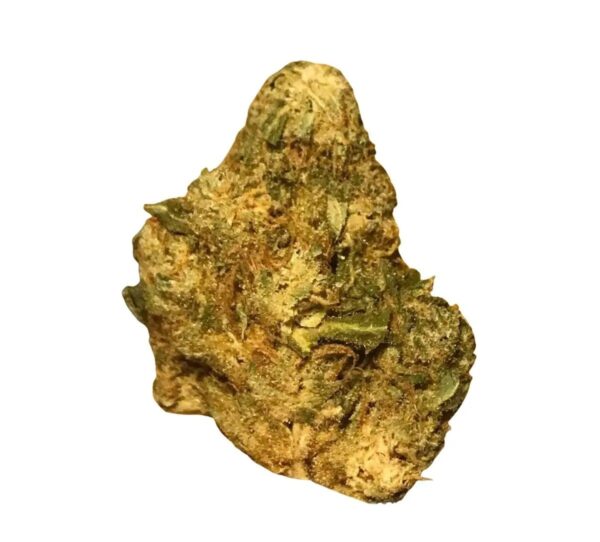 IMC THC20 T01