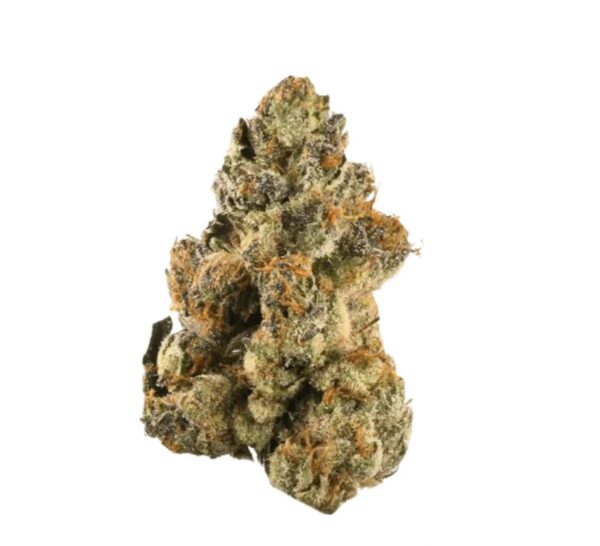 LOT 420 GLT PT Gelato33