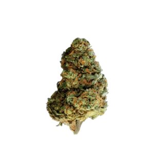 Mediprocan 19/1 Sour Mango