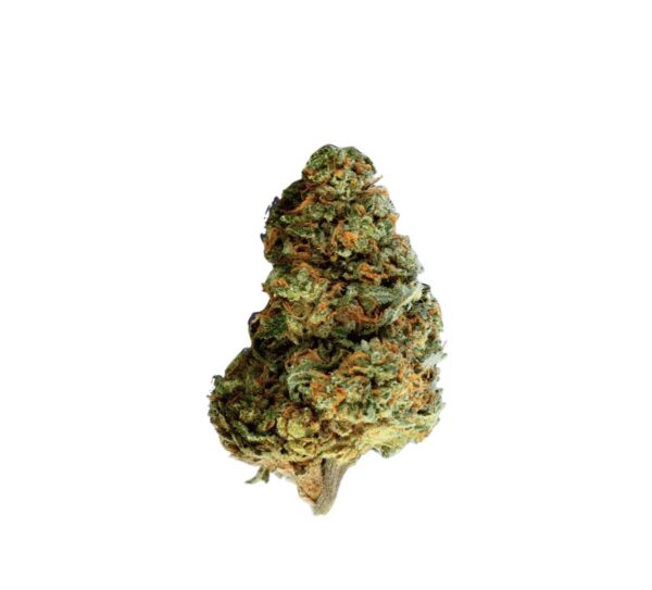 Mediprocan 19/1 Sour Mango