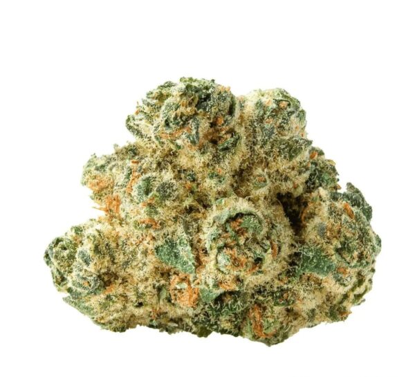 Peace Naturals 31/1 SC