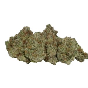 avaay Signature 31/1 OGC Ocean Grown Cookies