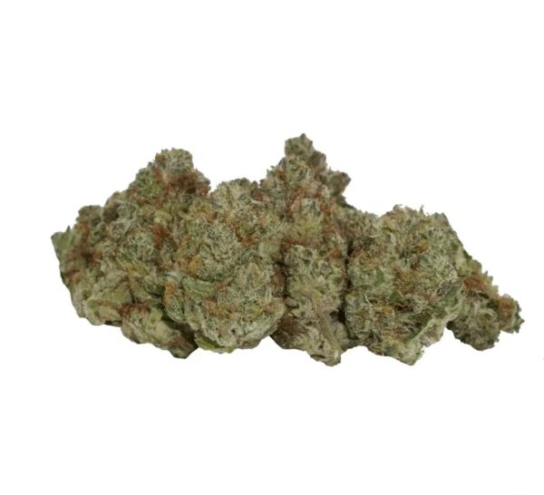 avaay Signature 31/1 OGC Ocean Grown Cookies