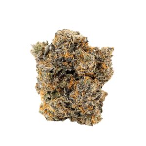 bava med 21/1 GEL-PI Gelato Pie