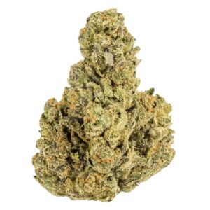 Cookies 22/1 A&B