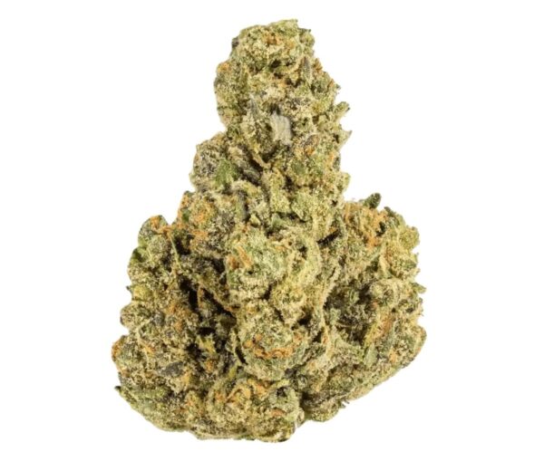 Cookies 22/1 A&B