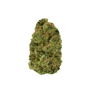 Medicus 27/1 EZA DSD