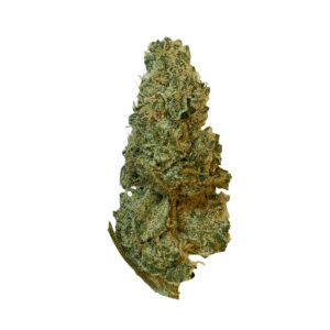 Medicus 27/1 EZA GMO