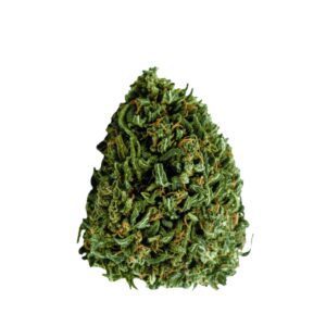 Mediprocan Lunaris 19/1 FL
