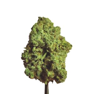 Origine Nature GG 21/1