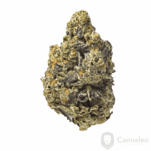 Sinceritas Sativa Verum 24/1 Kush Mints