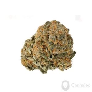 Cannamedical Hybrid Forte NM Gorilla Zkittlez