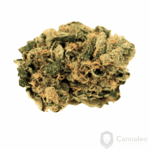 Cannamedical Indica Classic DK 20/1 Cookies Kerosene Punch