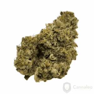 Nimbus easy 30/1 French Cookies