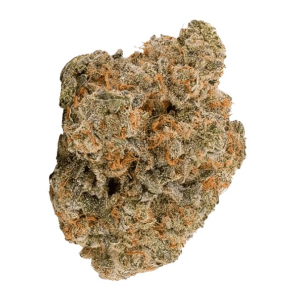 Bathera 28/1 BZ Blue Z