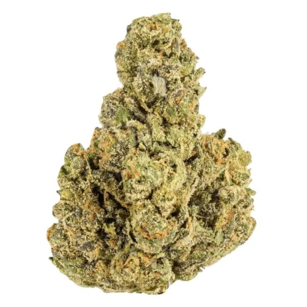 Cookies 2.0 Apples & Bananas 26/1 CAN