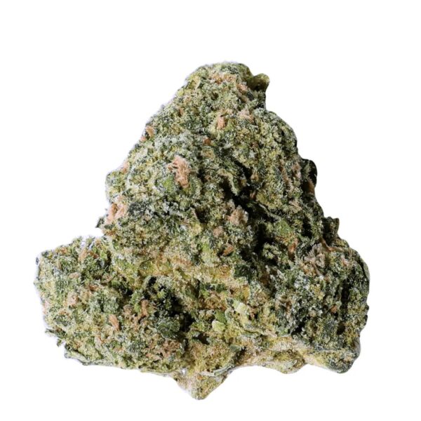 Bathera THC akut FB 27 AM