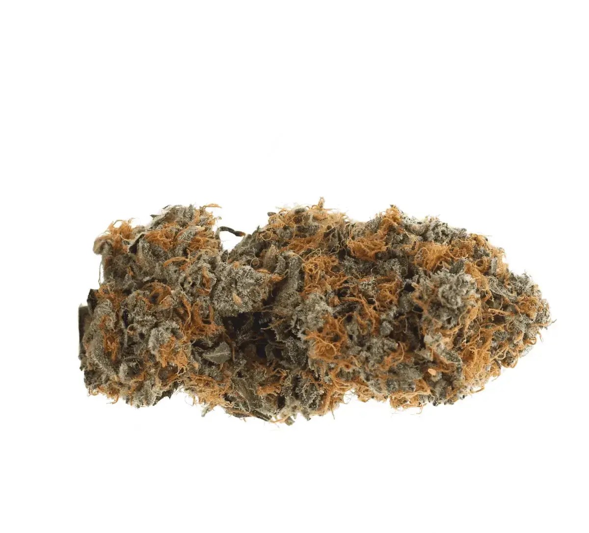 IMC-Craft-SUS-THC26-Super-Sativa-Tangelo-Boost Cannamedical Indica Forte BC Tangerine Boost M – Bild 1