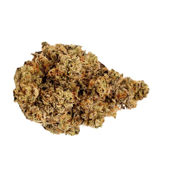 LOT 420 GLOC