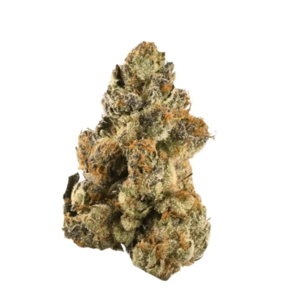 LOT 420 GLT Gelato33