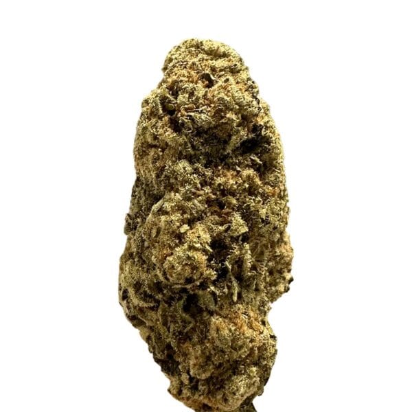 Mediprocan Lunaris 23/1 Lava Cake