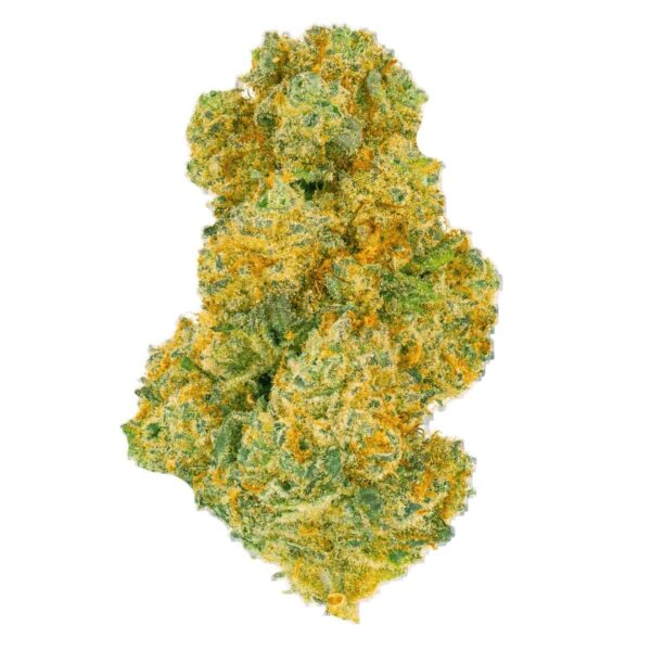 Pedanios 27/1 BLY-CA