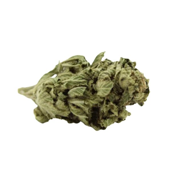 Canopy JH 19/1