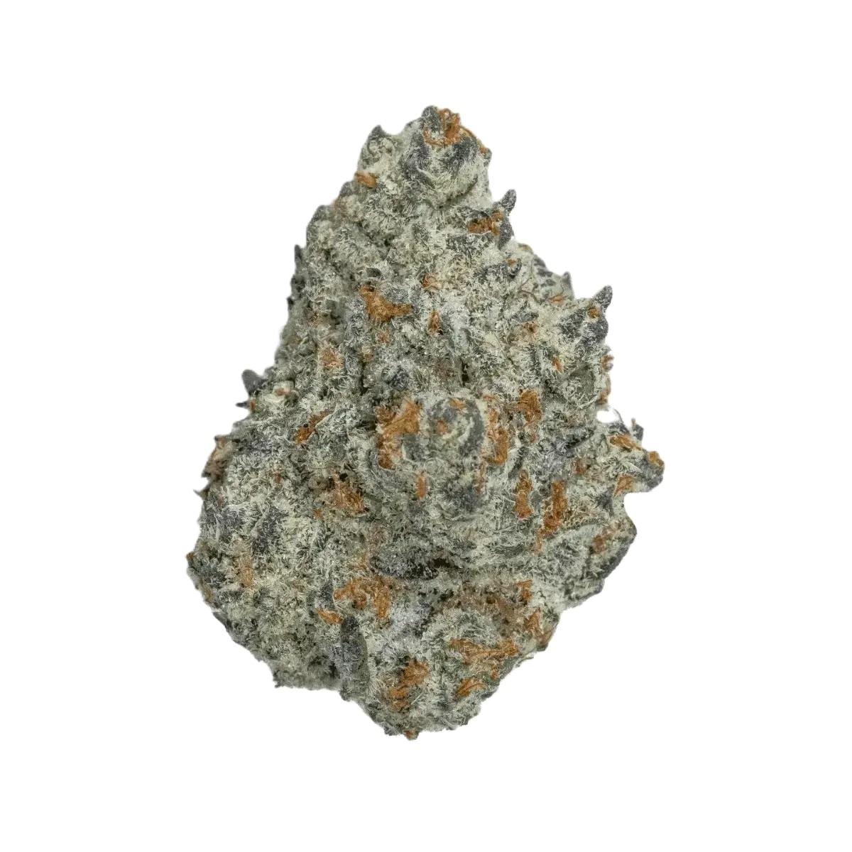 WTF-211-MIC-ICC-Ice-Cream-Cake mediproCan Lunaris 19/1 – Bild 1