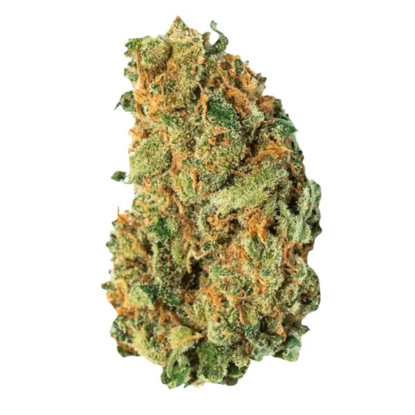 Cannamedical Sativa Forte NM Amsterdam Amnesia
