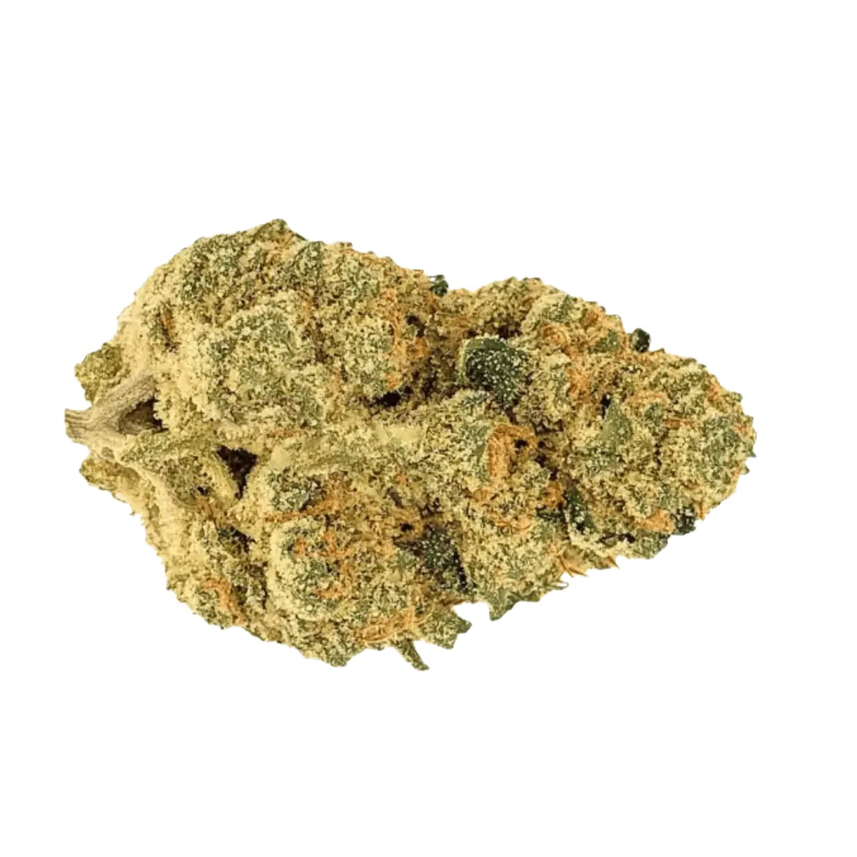 Beacon-WP-T24-Blueberry-Pancakes Beacon WP T24 – Bild 1