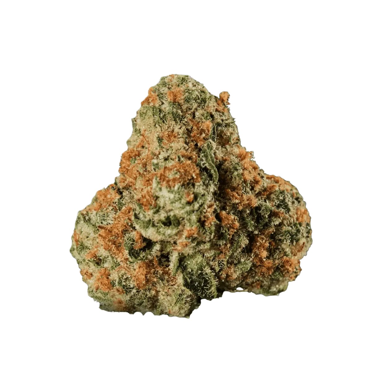 Huala-251-UK-WTR-Waffle-Truffle Huala 25/1 UK WTR – Bild 1