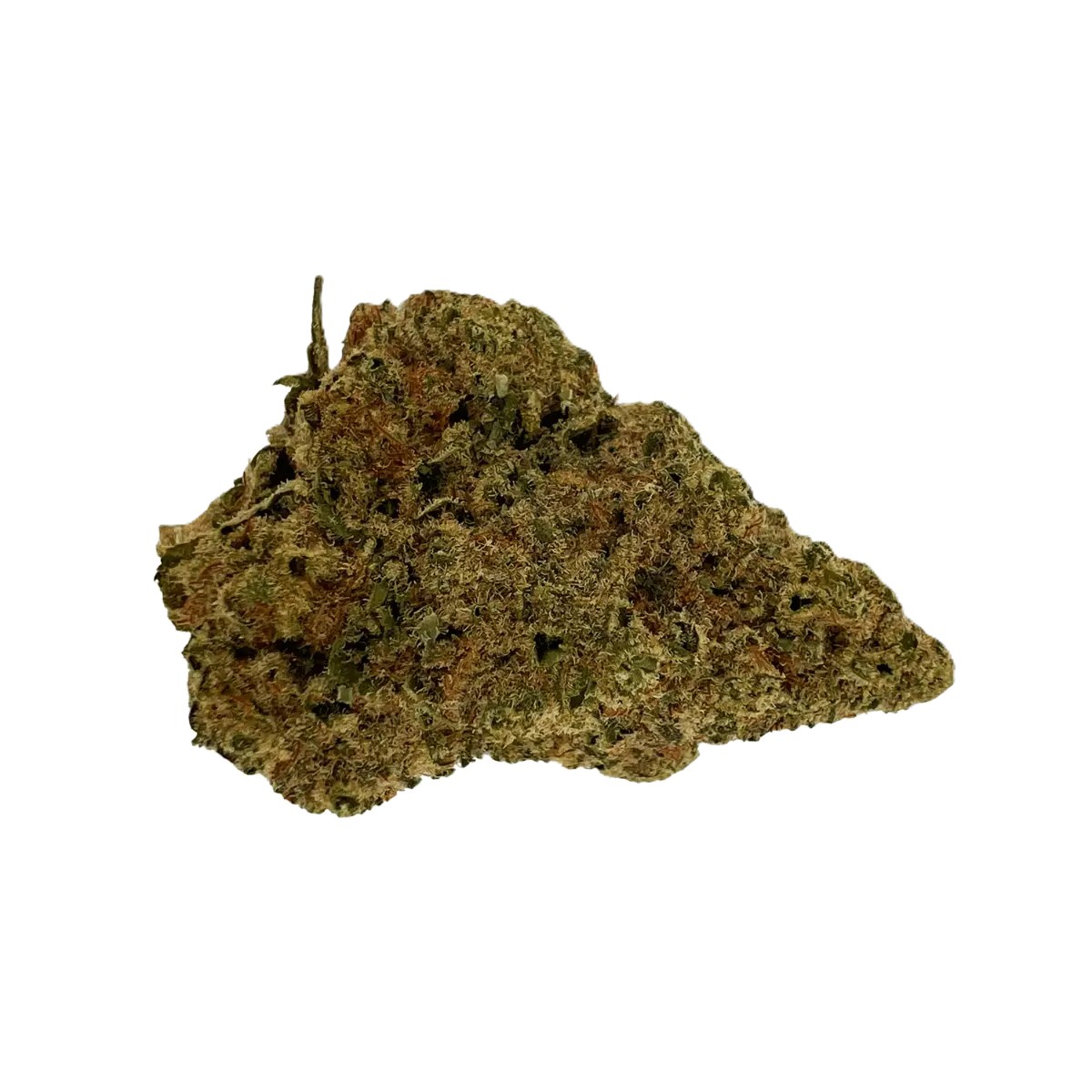 Sibanax-MCF-231-Mac-Fem Sibanax MCF 23/1 Mac Fem – Bild 1