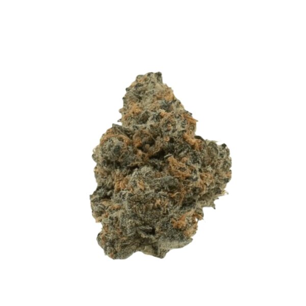 Gestion Cannabec OS 21/1